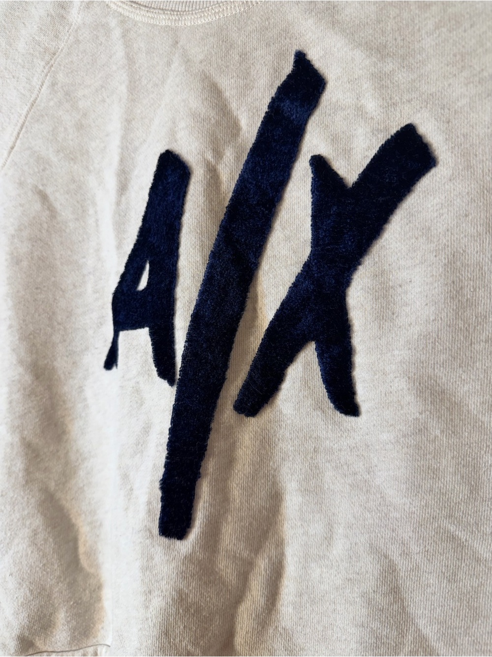 A|X Crewneck Sweatshirt with Navy Logo - Picture 4 of 6